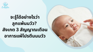 ลูกแพ้นมวัว